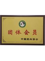 團(tuán)體會(huì)員