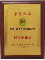 榮譽(yù)證書(shū)